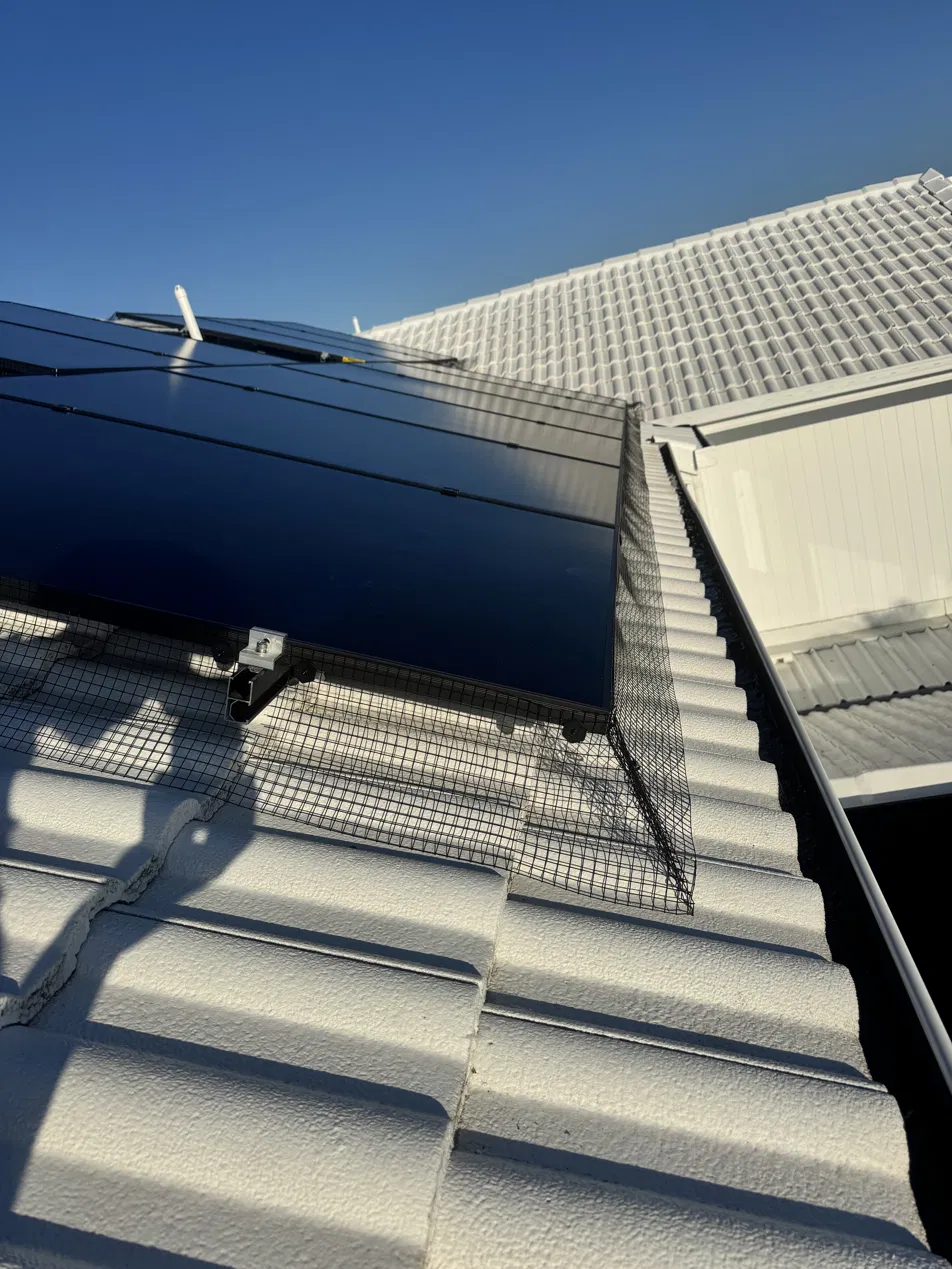 Close-up of bird mesh clipped around solar panel edges