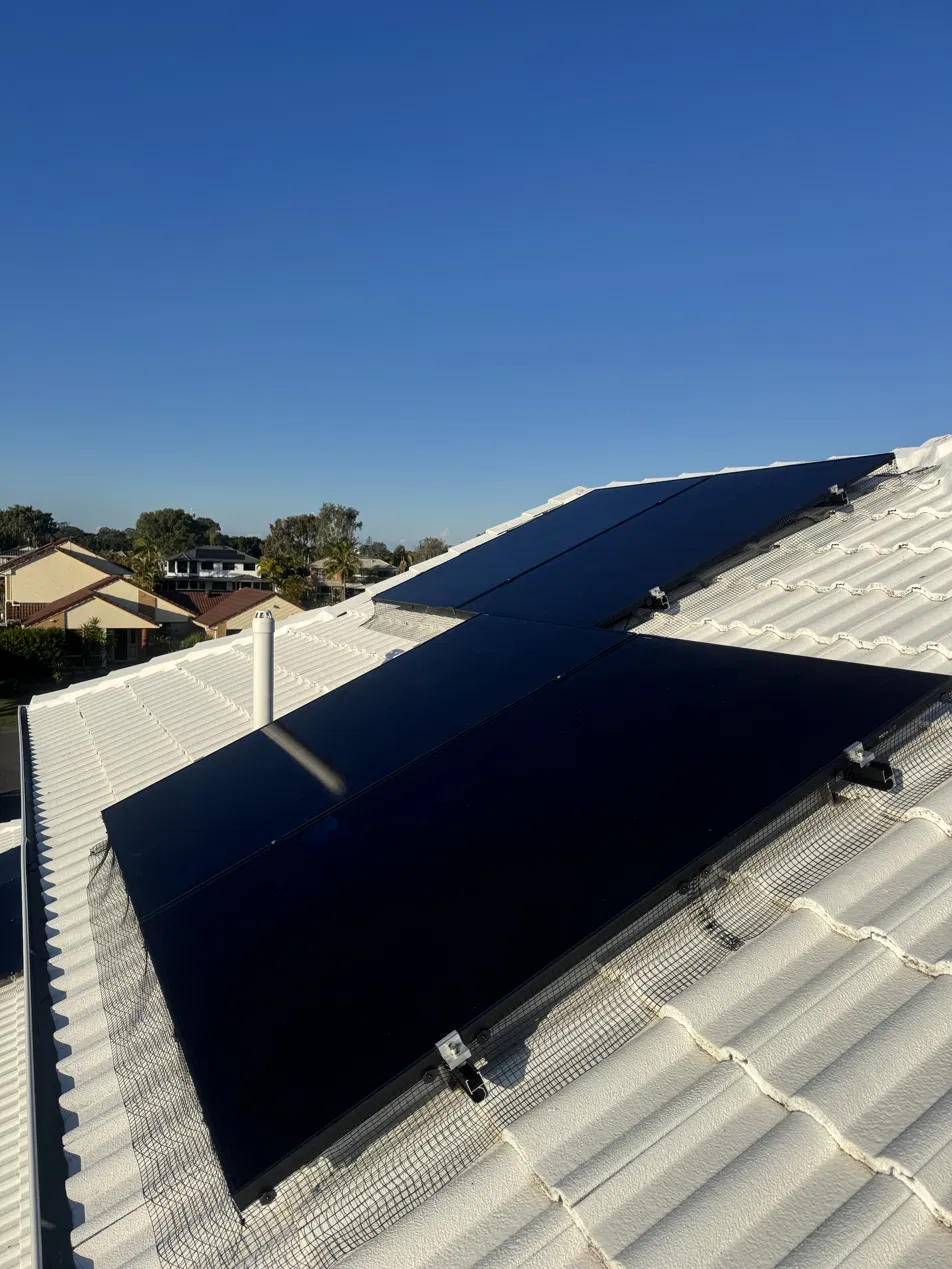 Solar panel array with bird proofing mesh against a clear blue sky